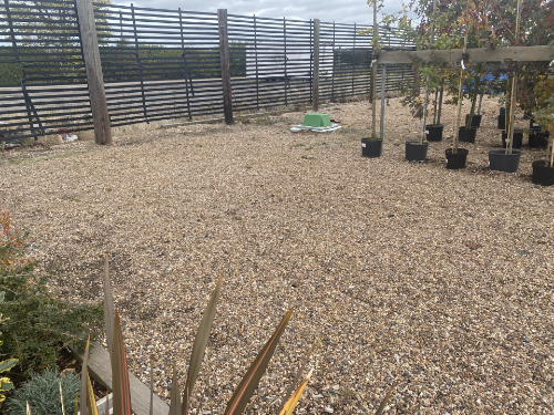 Tricel novo uk6